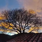 El Vilarot. La Casa De Piedra En La Naturaleza. * Girona