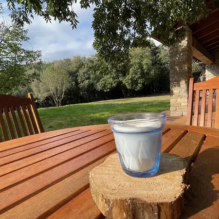 El Vilarot. La Casa De Piedra En La Naturaleza. Chalet Gerona