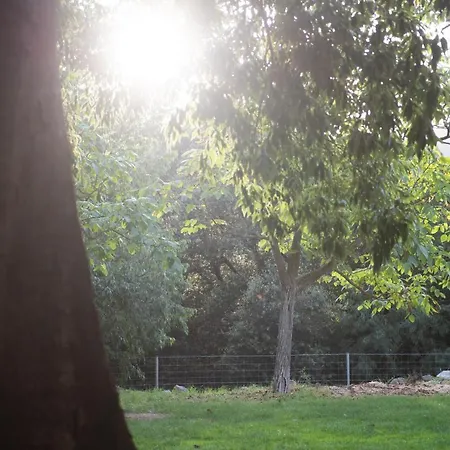 El Vilarot. La Casa De Piedra En La Naturaleza. *