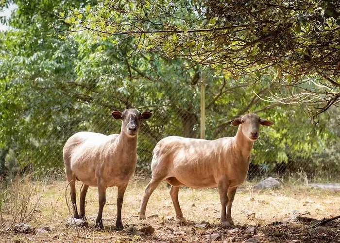 El Vilarot. La Casa De Piedra En La Naturaleza. *