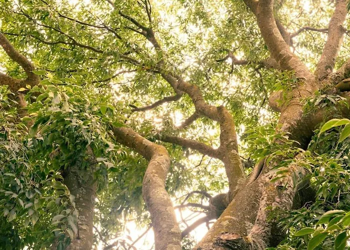 Шале El Vilarot. La Casa De Piedra En La Naturaleza. *