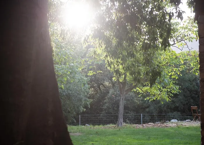 El Vilarot. La Casa De Piedra En La Naturaleza. *
