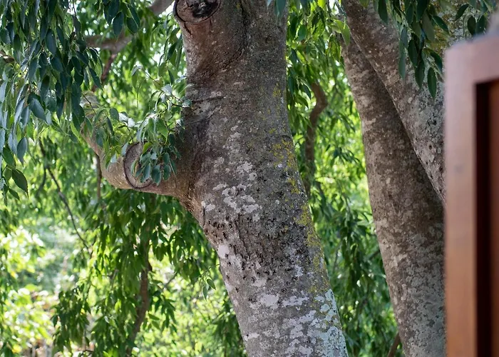 Шале El Vilarot. La Casa De Piedra En La Naturaleza. Жерона